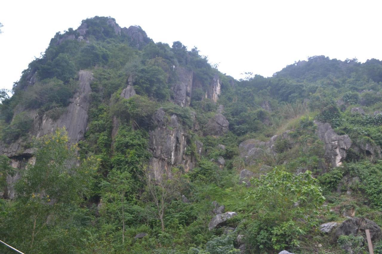 Phong Nha Homestay Екстериор снимка