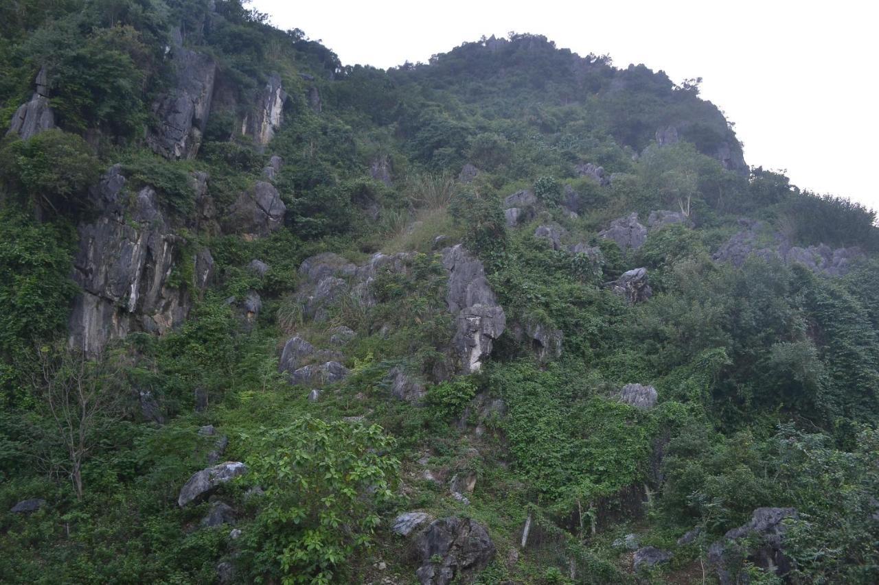 Phong Nha Homestay Екстериор снимка